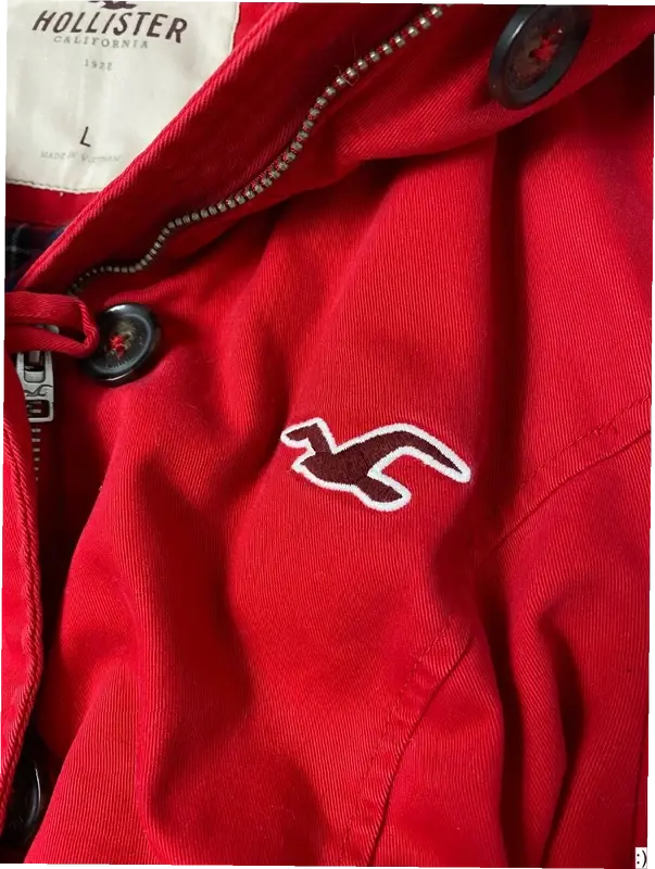 Vintage Hollister Jacke (L) yv.vintage