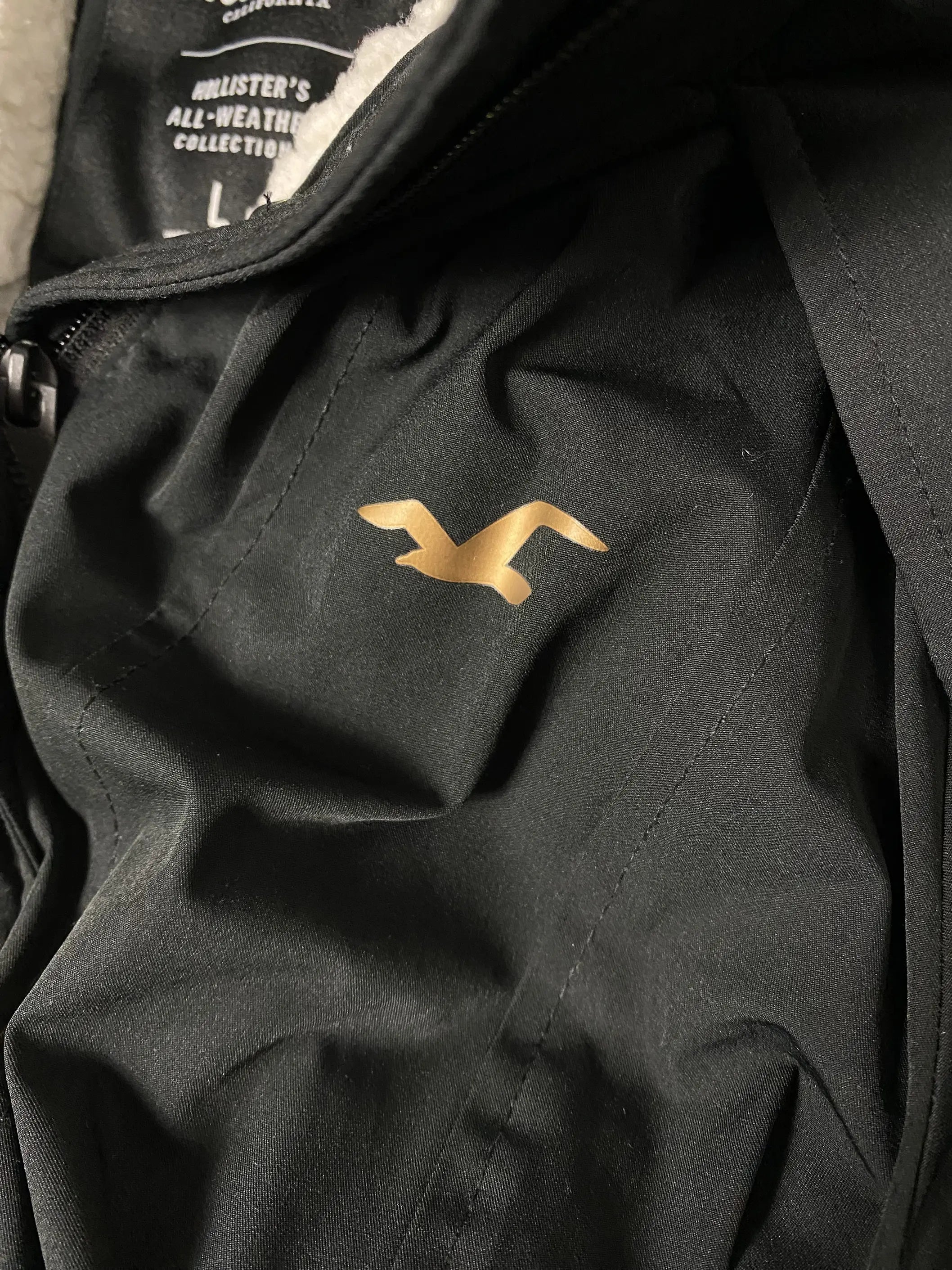 Vintage Hollister Jacke (L) yv.vintage