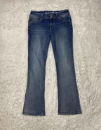 Wallflower Embroidered Y2K Flared Denim Jeans (Grösse-M)